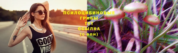 шишки Кулебаки