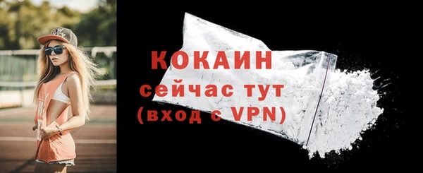 шишки Кулебаки