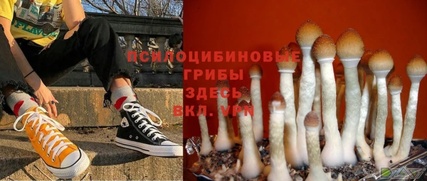 прущие крисы Кукмор