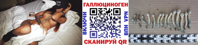 Купить закладки  Аша  Галлюциногенные грибы Cubensis 